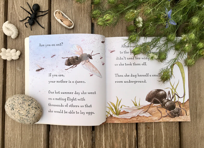 children books about ants - Are you an ant?