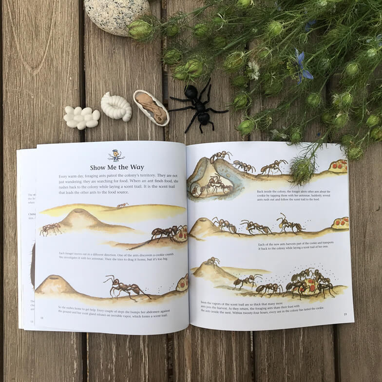 children books about ants - The Life and times of the Ant