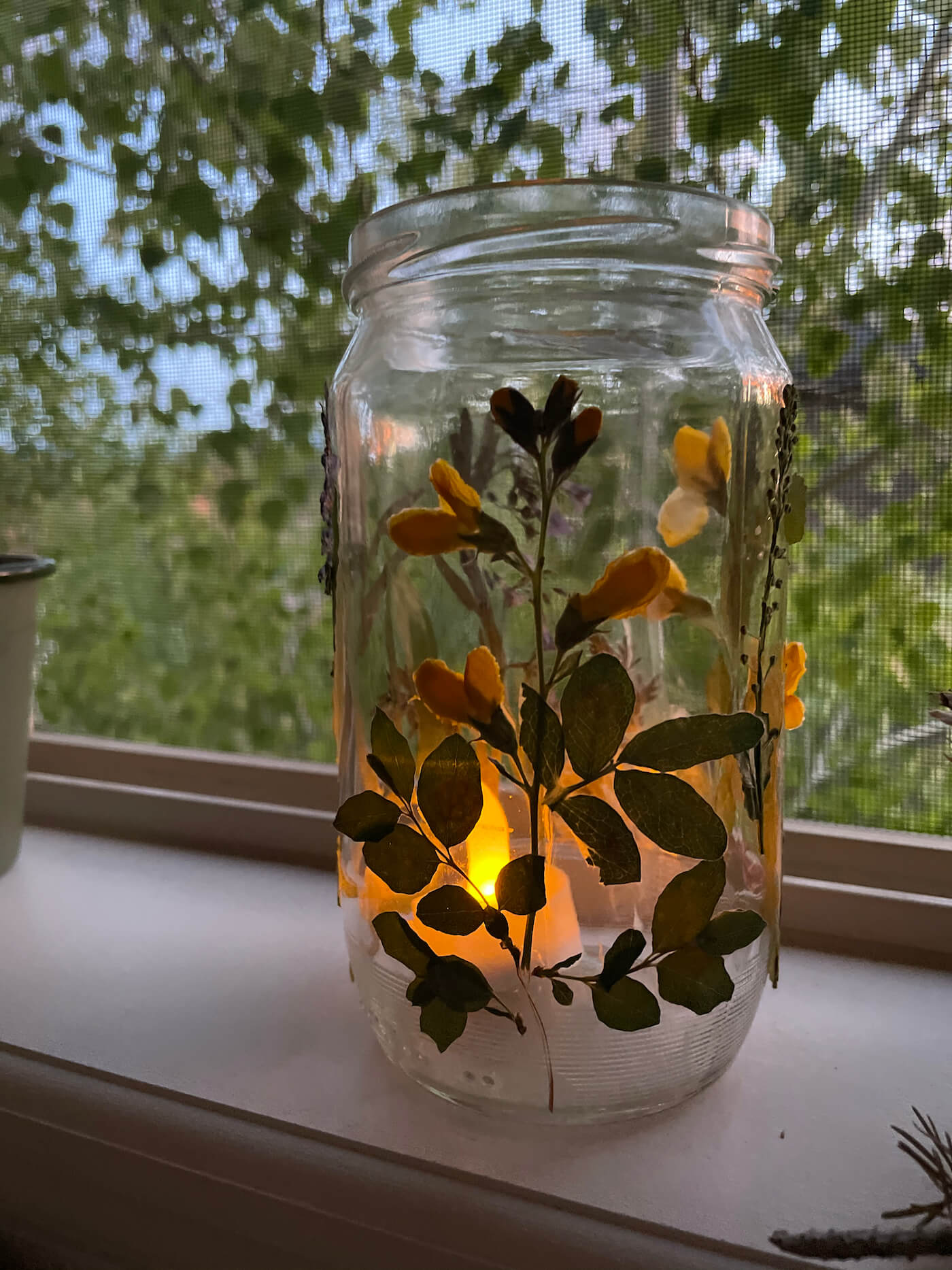 pressed flower lantern DIY nature craft